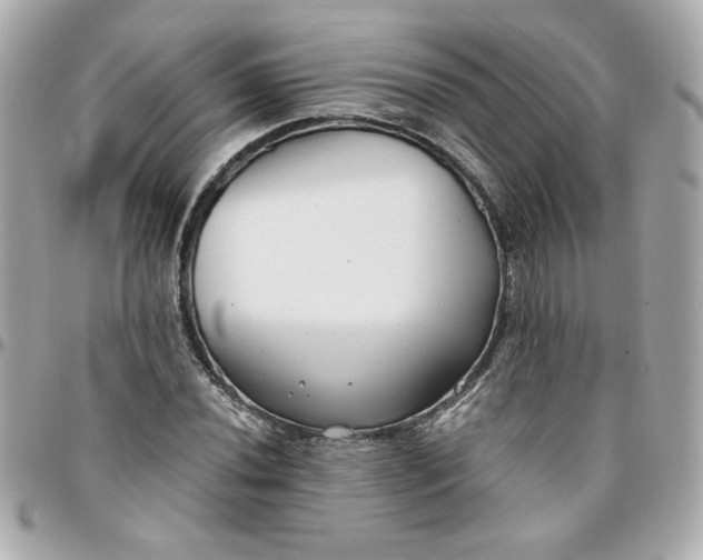 X0000096201020200802011255