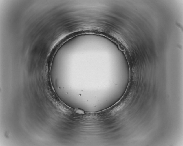 X0000096201021200802011255