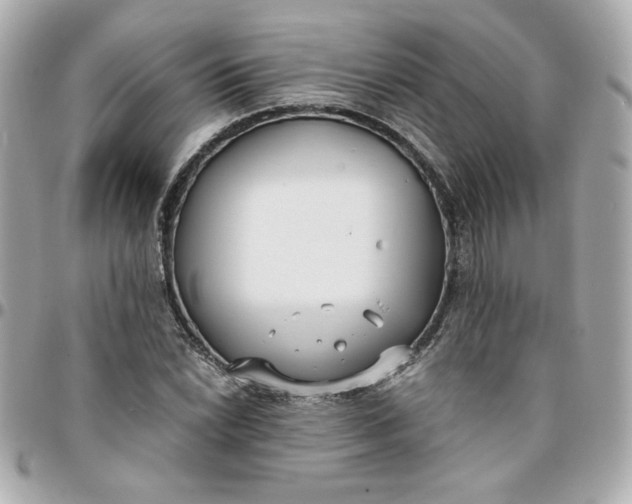 X0000096201022200802011255