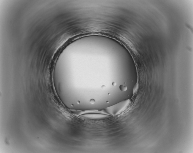 X0000096201023200802011255