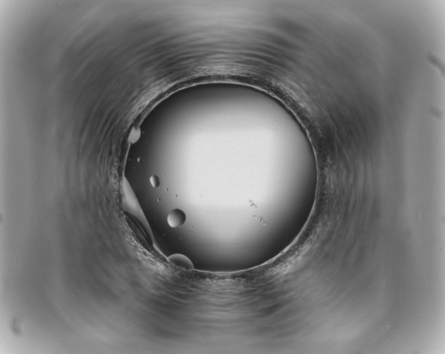 X0000096201025200802011255