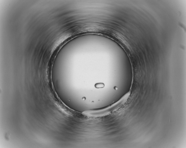 X0000096201026200802011255