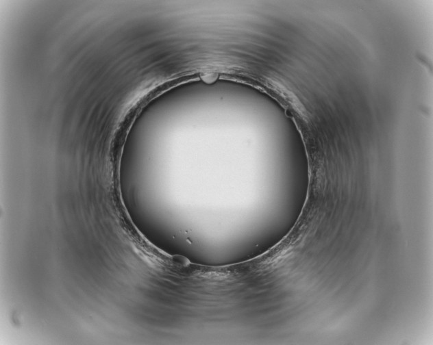 X0000096201027200802011255