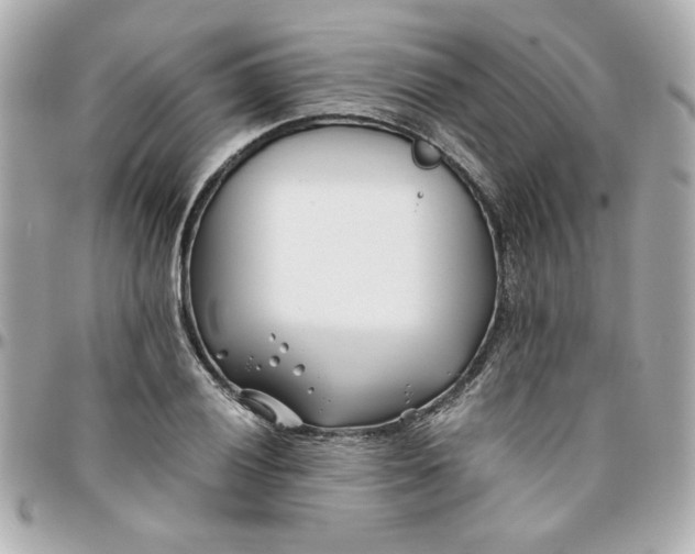 X0000096201028200802011255