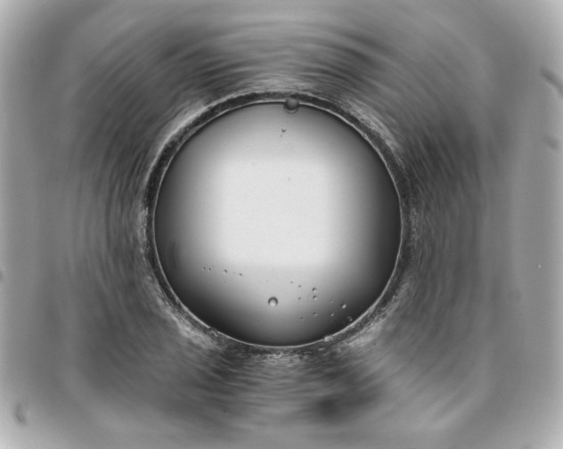 X0000096201029200802011255