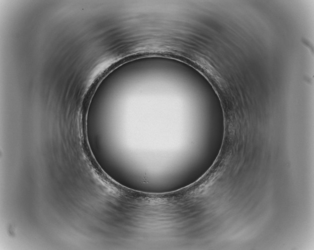 X0000096201030200802011255