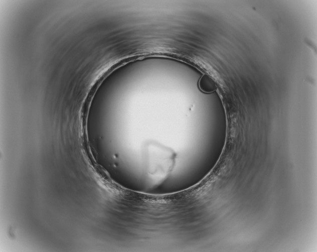 X0000096201031200802011255