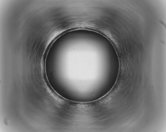 X0000096201032200802011255