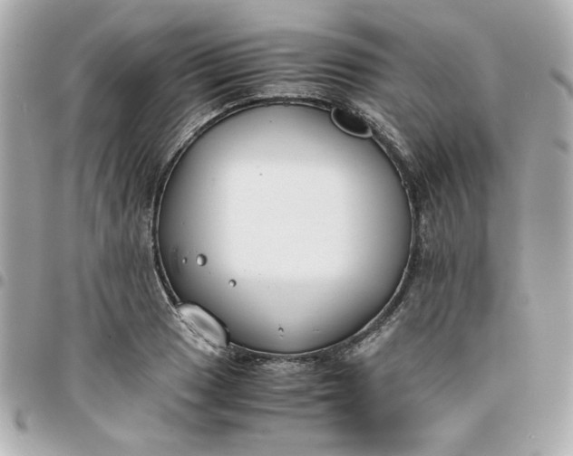 X0000096201033200802011255