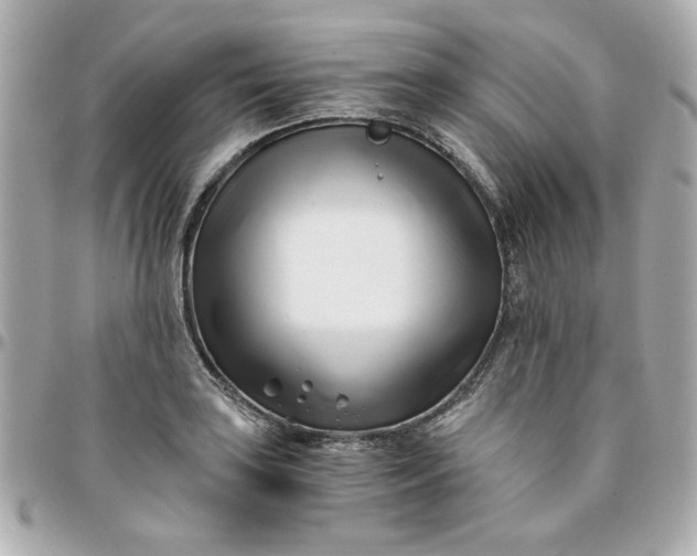 X0000096201035200802011255