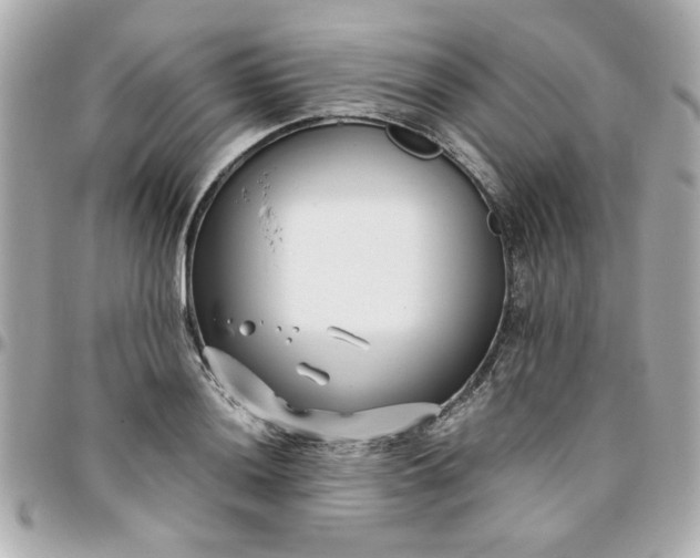 X0000096201036200802011255