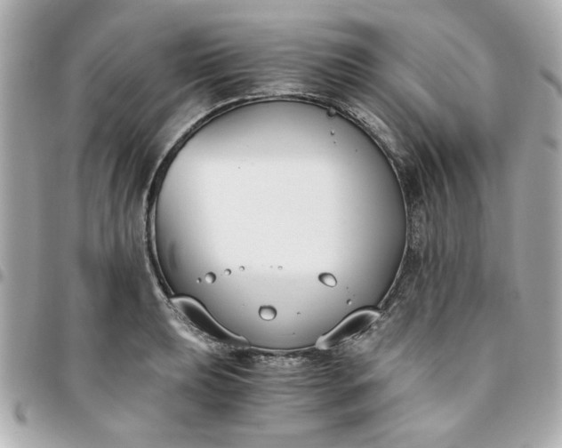 X0000096201039200802011255