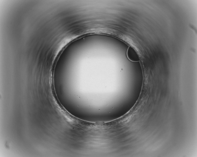 X0000096201040200802011255