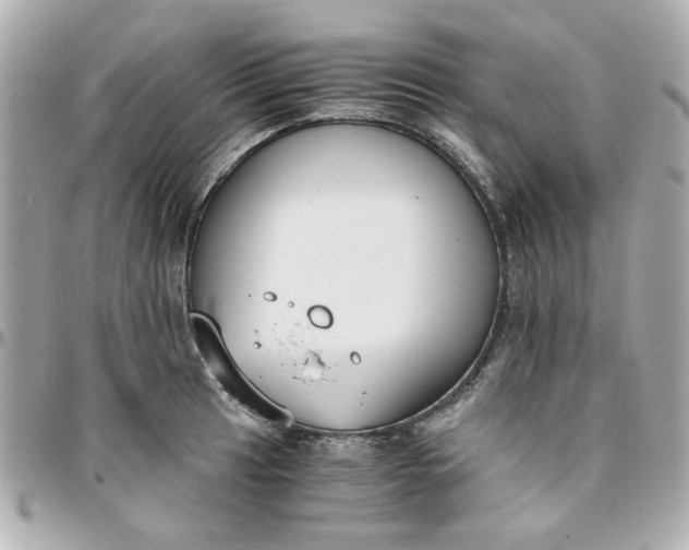 X0000096201041200802011255