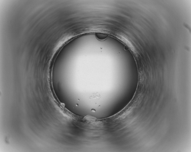 X0000096201043200802011255