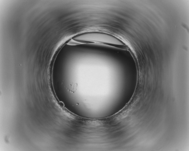 X0000096201045200802011255