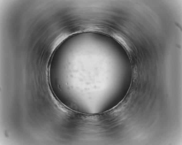 X0000096201047200802011255