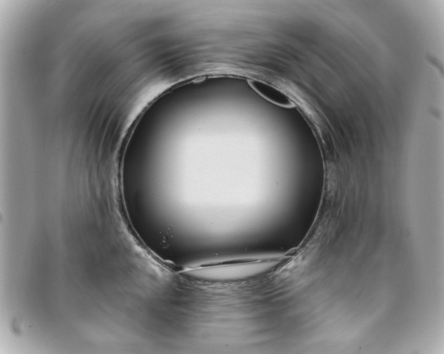 X0000096201048200802011255