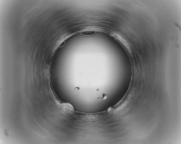 X0000096201049200802011255