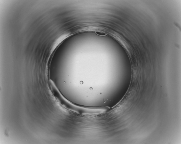 X0000096201050200802011255