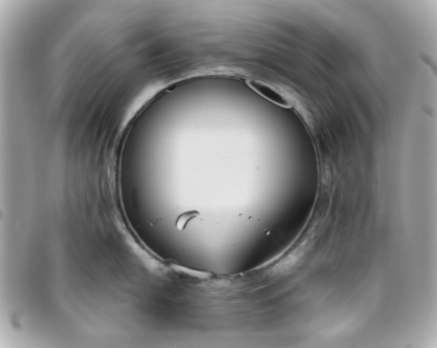 X0000096201054200802011255