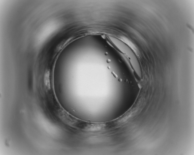 X0000096201055200802011255