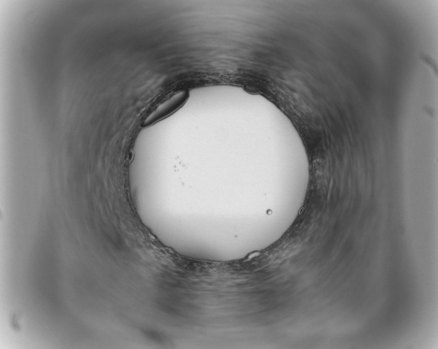 X0000096201057200802011254