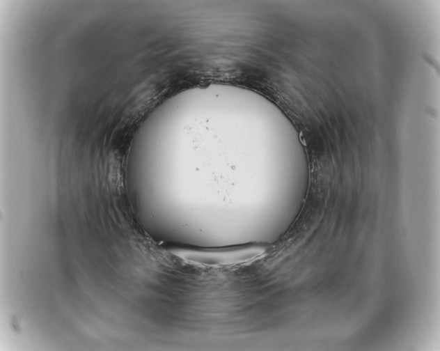 X0000096201058200802011254