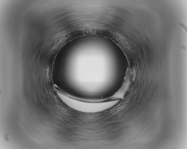 X0000096201060200802011254