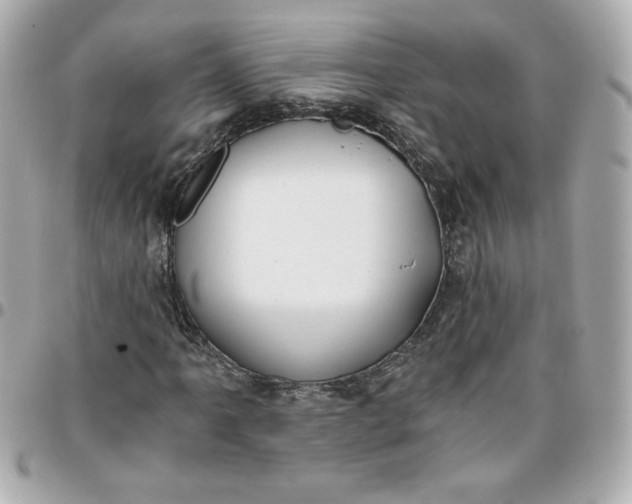 X0000096201061200802011254