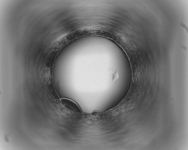 X0000096201062200802011254