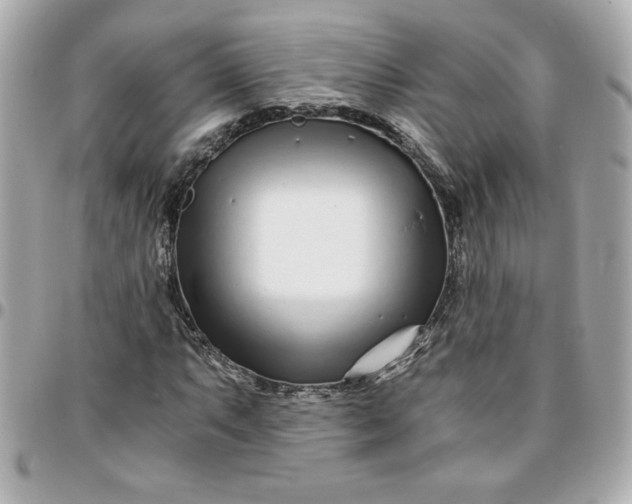 X0000096201063200802011254