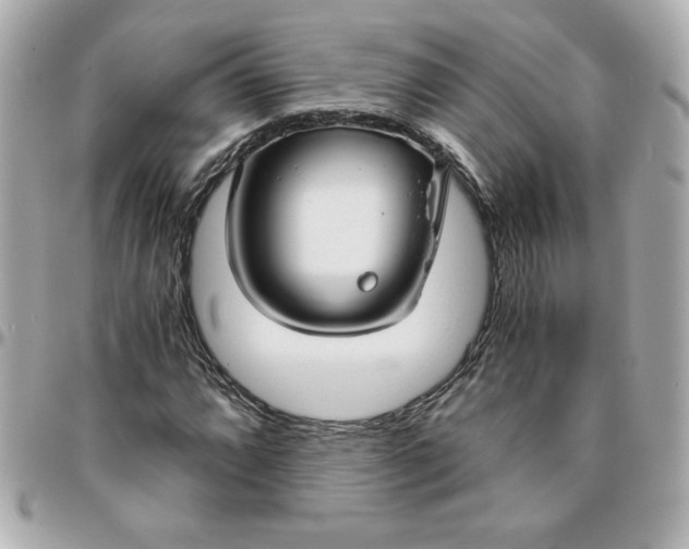 X0000096201064200802011254