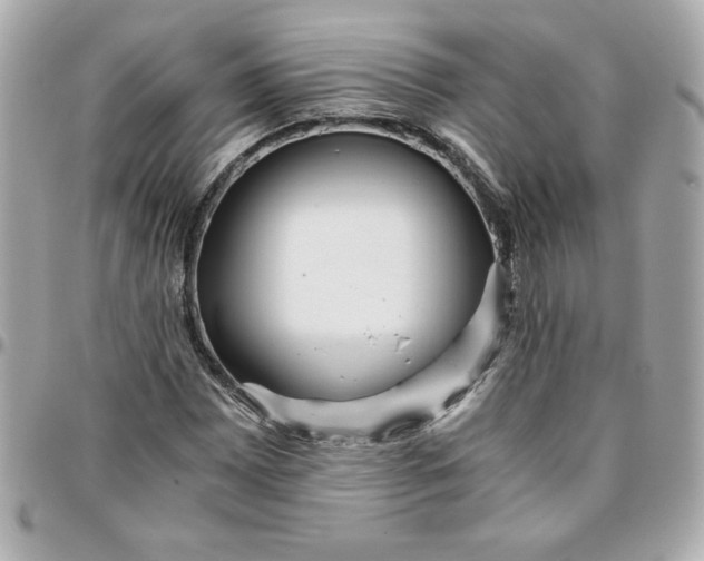 X0000096201065200802011254