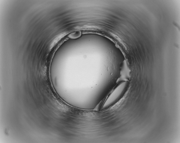 X0000096201066200802011254