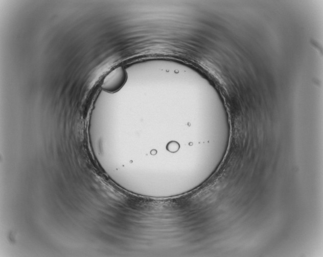 X0000096201067200802011254