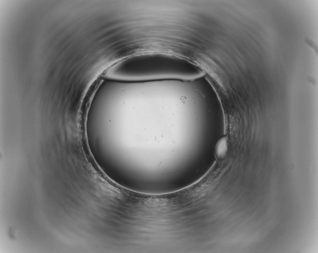 X0000096201068200802011254