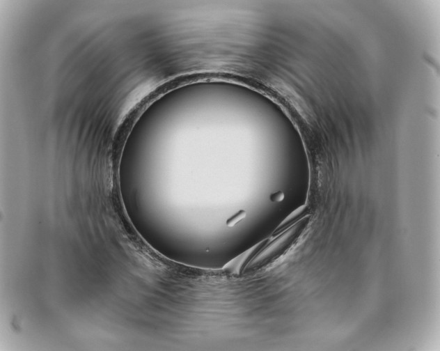 X0000096201069200802011254