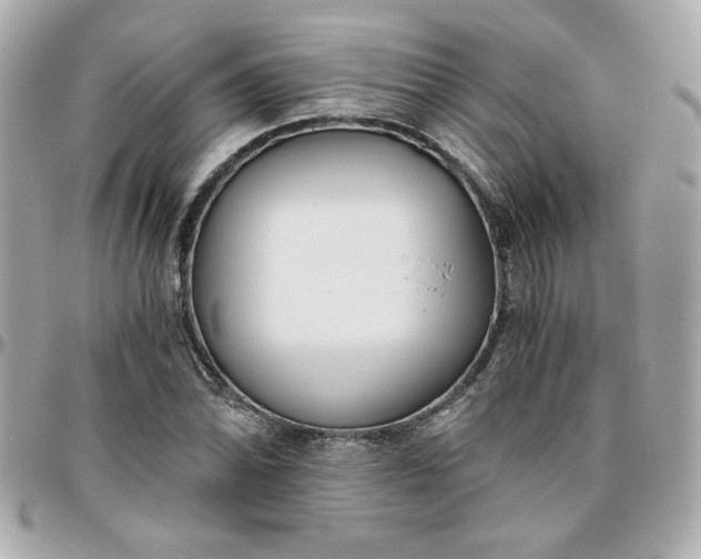 X0000096201070200802011254