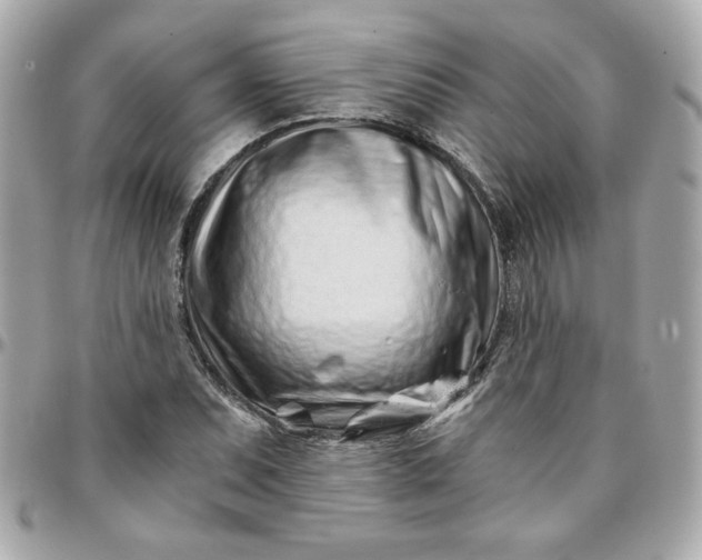 X0000096201071200802011254