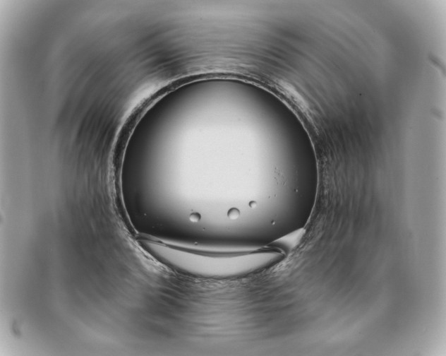 X0000096201072200802011254