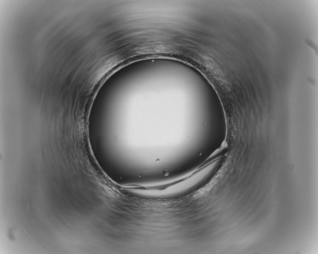 X0000096201073200802011254