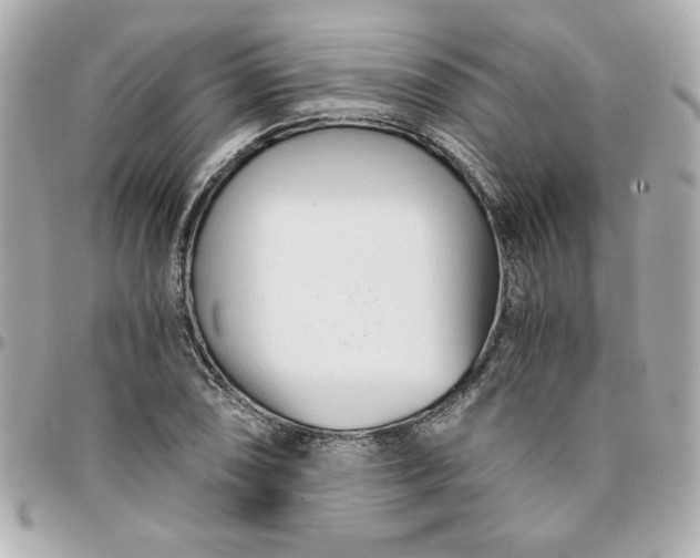 X0000096201074200802011254