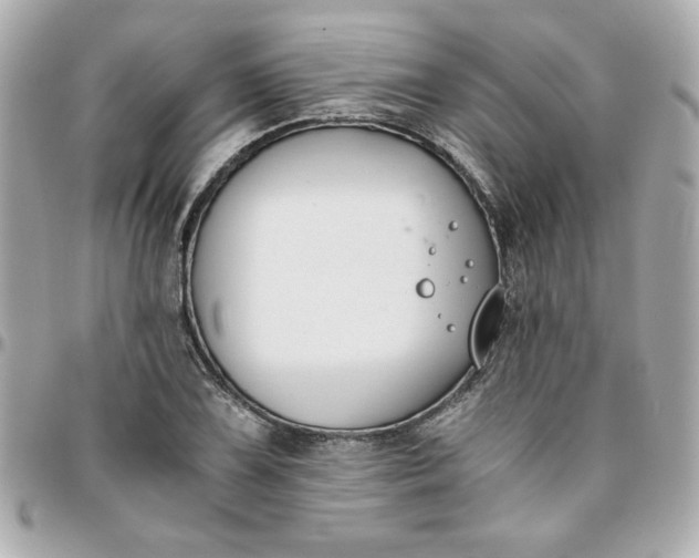 X0000096201075200802011254