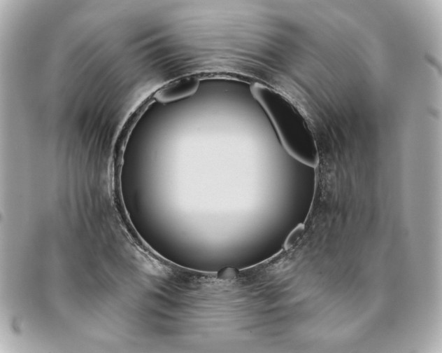 X0000096201076200802011254