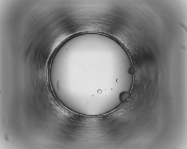 X0000096201078200802011254