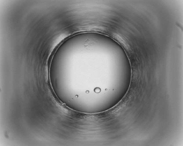 X0000096201079200802011254