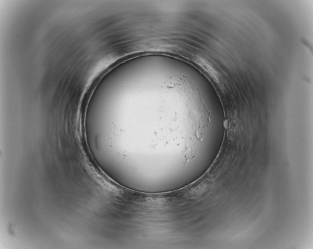 X0000096201080200802011254