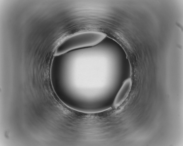 X0000096201081200802011254