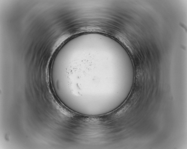 X0000096201082200802011254